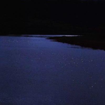 湖南桃江防汛巡堤一线：资江河的雨夜“温度”
